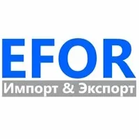 Эфор